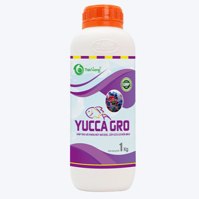 YUCCA GRO - Hấp thụ nhanh khí độc NH3, tránh hiện tượng cá nổi đầu