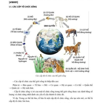 Sách - TSA Tổng Ôn Phần Tư Duy Khoa Học Giải Quyết Vấn Đề – Môn Sinh Học (Moon)