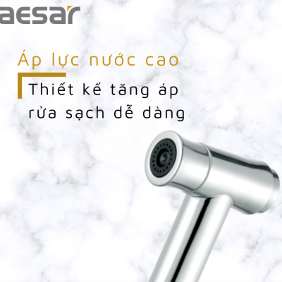 VÒI XỊT INOX 304 - BS310CW CAESAR