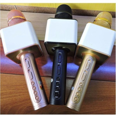 Loa Bluetooth Karaoke - Loa xách tay mini chất liệu nhựa cao cấp, công suất 6W và micro không dây - Hàng nhập khẩu
