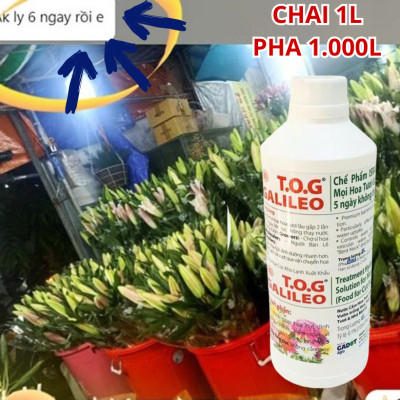 Nước Dưỡng Hoa Tươi Lâu TOG GALILEO nhập khẩu Israel giúp hoa tươi lâu gấp 2 lần và 3-5 ngày không cần thay nước tại nhà vườn, chợ sỉ hoa (1L "đậm đặc" pha 1.000L nước)