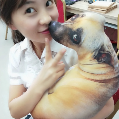 Gấu bông con chó liếc 3D hài hước ship HOẢ TỐC HCM gấu hình chó thật nhồi bông 20cm 50cm 70cm 90cm giá rẻ