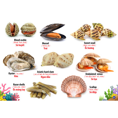 Trọn Bộ Từ Điển -Thư Viện Hình Ảnh Song Ngữ Đầu Tiên Của Bé ( bộ 8 cuốn)