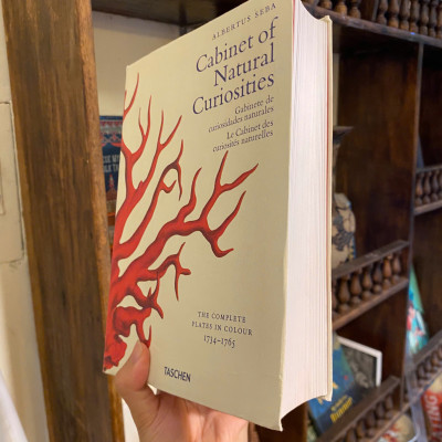 Sách - Cabinet of Natural Curiosities by Albertus Seba | Natural History - English Science Book