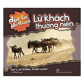 ĐLPT - Lữ Khách Thường Niên - Bản Quyền