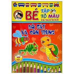 Bé Tập Tô Màu Và Học Tiếng Anh Theo Chủ Đề - Bò Sát Và Côn Trùng