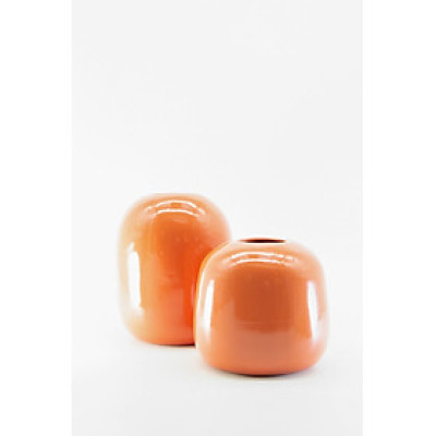 Bình Hoa Mimosa - Nhỏ