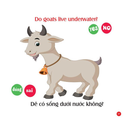 Sách - Mẹ Hỏi Bé Trả Lời - Tập 2 - Song Ngữ Anh Việt - Rèn Luyện Trí Thông Minh, Phát Triển Ngôn Ngữ Cho Bé - Việt Thư
