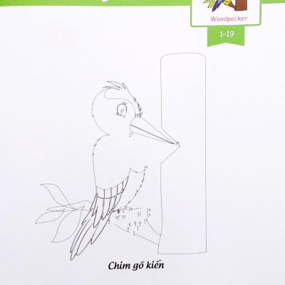 Dot To Dot Coloring Book - Nối Số & Tô Màu - Các Loài Chim