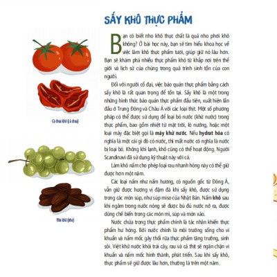 Tớ Muốn Biết Tuốt - Khám Phá Thực Phẩm