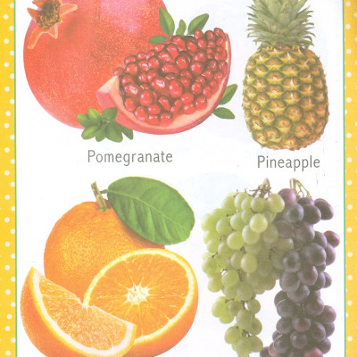 My First Early Learning - Fruit And Vegetables Book (Bài học đầu tiên của tôi - Sách về rau củ quả)