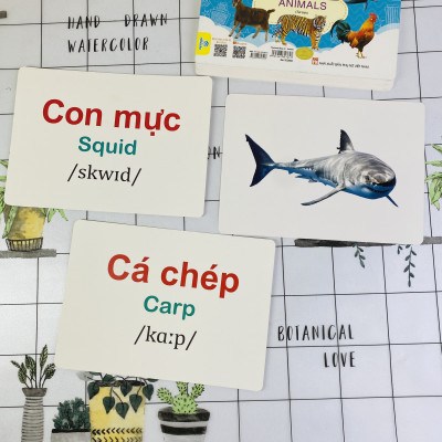 Sách - Flashcard Thế giới quanh em - Giáo dục theo phương pháp Glenn Doman