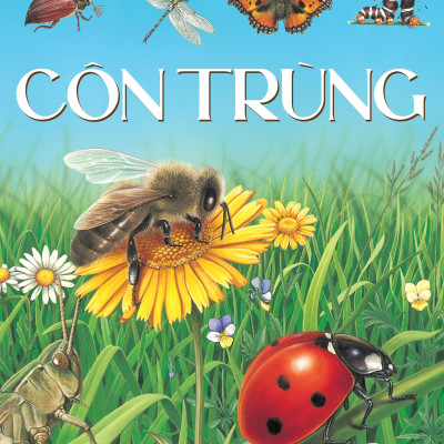 Thế Giới Động Vật - Côn Trùng