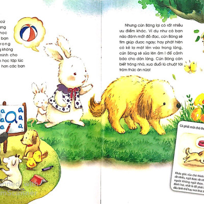 Những Câu Chuyện Thú Vị Về Động Vật - Chiếc Mũi Thám Tử