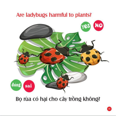 Sách - Mẹ Hỏi Bé Trả Lời - Tập 1 - Song Ngữ Anh Việt - Rèn Luyện Trí Thông Minh, Phát Triển Ngôn Ngữ Cho Bé - Việt Thư