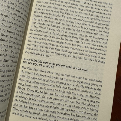 TƯ TƯỞNG PHẬT GIÁO: Một Giới Thiệu Toàn Diện Về Truyền Thống Ấn Độ - Paul Williams - Omega Books
