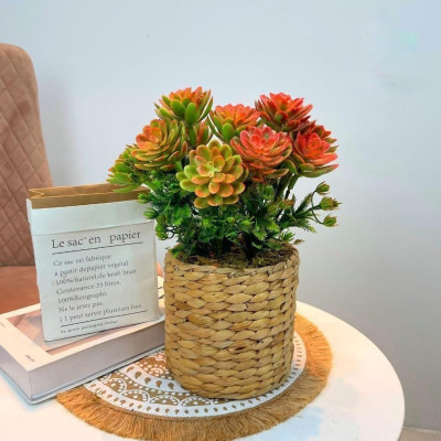 Chậu cây trang trí để bàn kèm giỏ y hình các loại - Cao 35cm đến 48cm - Cây giả, hoa lụa Decor trang trí nhà cửa.