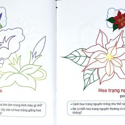 Tập Tô Màu Và Nhận Biết Thế Giới Xung Quanh - Các Loại Hoa
