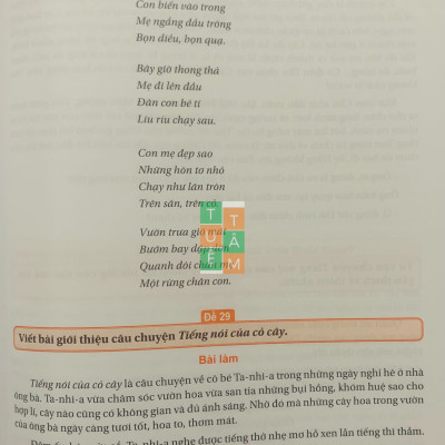 Sách - Những bài làm văn mẫu lớp 4 (Kết nối tri thức với cuộc sống)