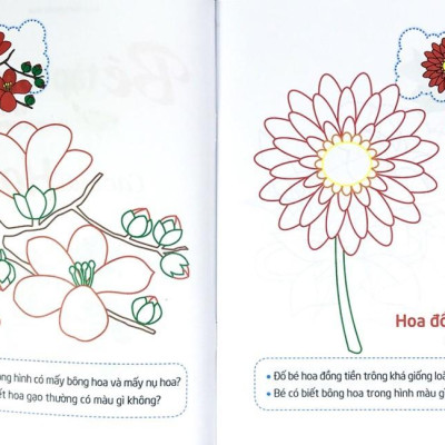 Tập Tô Màu Và Nhận Biết Thế Giới Xung Quanh - Các Loại Hoa