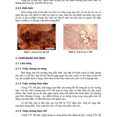 Sách - Bài giảng bệnh học ngoại khoa 2024 (Y)