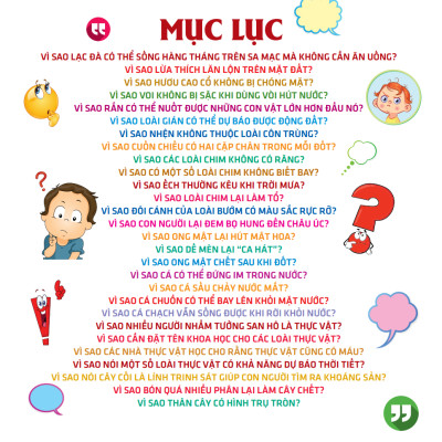 Vì Sao Chim Lại Làm Tổ?