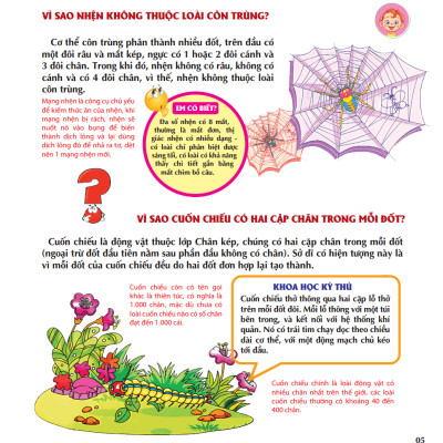 Vì Sao Chim Lại Làm Tổ?