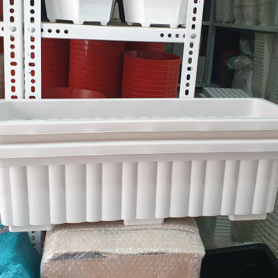 Bộ 5 Chậu Nhựa Thông Minh Trồng Rau Hoa Hải Đăng CH5-06 - Trắng