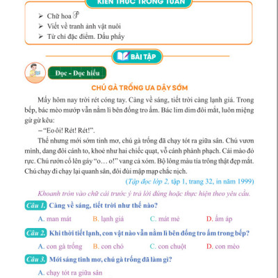 Sách - Bài Tập Tuần Tiếng Việt Lớp 2 - Biên Soạn Theo Chương Trình GDPT Mới - Cánh Diều - ndbooks
