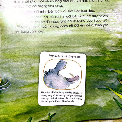 Những Câu Chuyện Thú Vị Về Động Vật - Anh Bạn Chăm Tắm