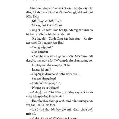 Ra Bờ Suối Ngắm Hoa Kèn Hồng _TRE