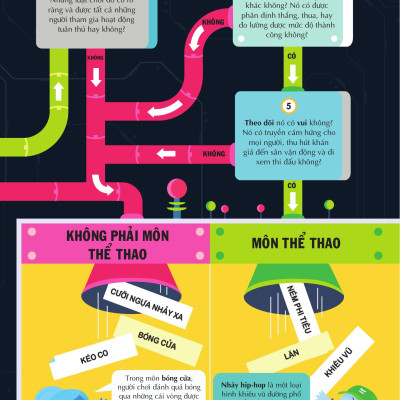 100 Bí Ẩn Đáng Kinh Ngạc Về Thể Thao - 100 Things To Know About Sport - Bìa Cứng