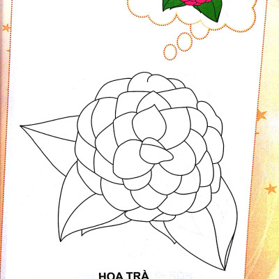 Bé Tập Tô Màu - Hoa (Tái Bản 2022)