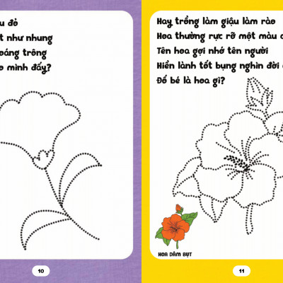 Bé Tập Tô Phát Triển Tư Duy - Câu Đố Về Các Loài Hoa