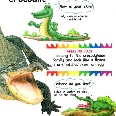 My First Questions & Answers - Reptiles & Amphibians