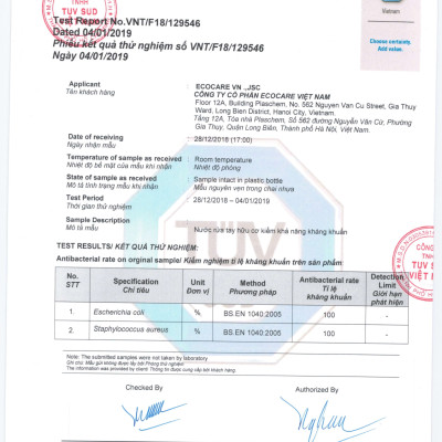 Nước rửa tay hữu cơ diệt khuẩn dạng bọt hương Quế 4000ml thương hiệu Ecocare ( tặng kèm vỏ tạo bọt)