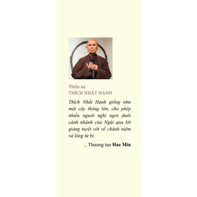 Sách Bỏ Túi - How To Walk - Đi Sao Cho Vững Vàng - Phanbook