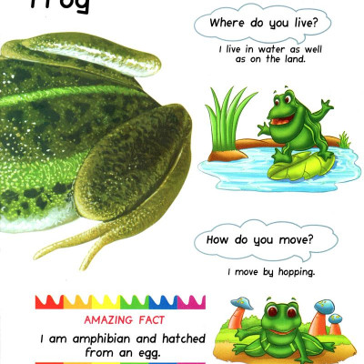 My First Questions & Answers - Reptiles & Amphibians