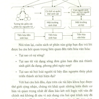 Một Góc Nhìn Về Tiến Hóa Văn Hóa