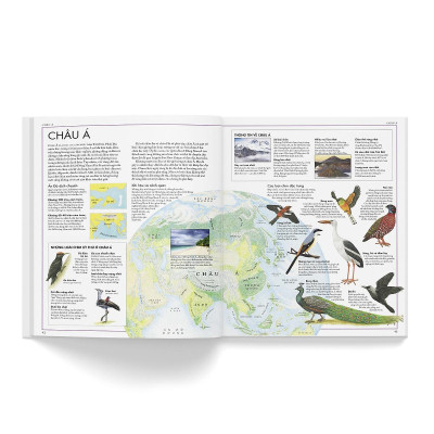 Sách - Atlas Các Loài Chim - Đông A