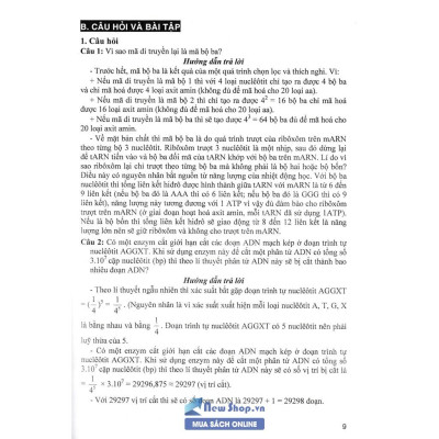 Sách - Bồi Dưỡng Học Sinh Giỏi Sinh Học 10 - 11 - 12 (Phan Khắc Nghệ)