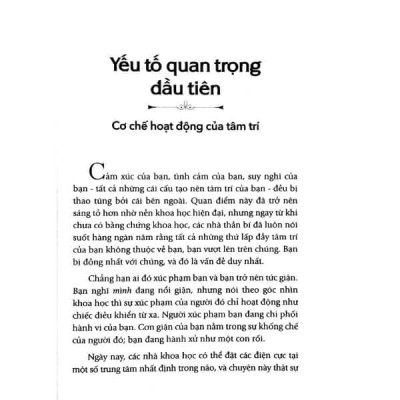 Osho - Cảm Xúc - Chuyển Hóa Nỗi Sợ Hãi, Giận Dữ Và Ghen Tuông Thành Năng Lượng Sáng Tạo - Bìa mềm - First News