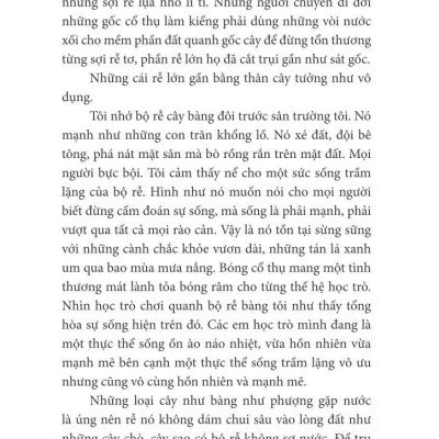 Trò Chuyện Với Lục Bình