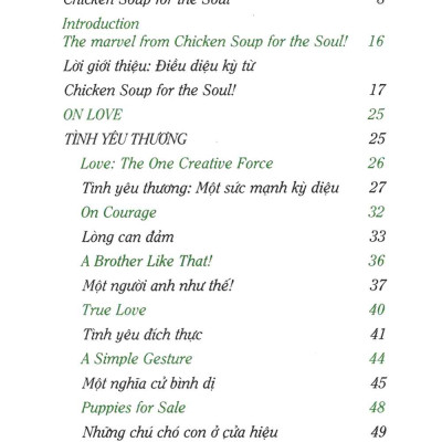 Hạt Giống Tâm Hồn - Chicken Soup For The Soul 1 - Chia Sẻ Tâm Hồn Và Quà Tặng Cuộc Sống _FN