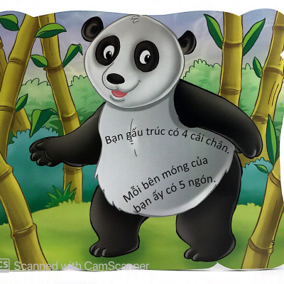 Cùng Bé Yêu Khám Phá Rừng Xanh - Chúng Mình Đã Biết Gì Về Loài Gấu Trúc