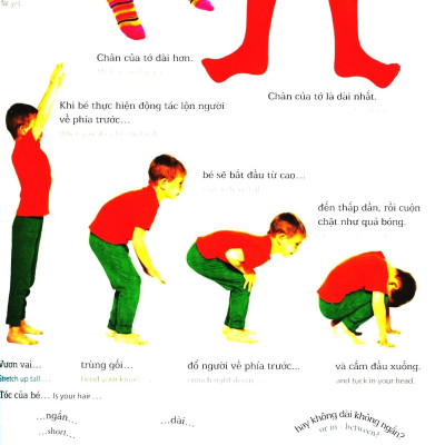 Lớp Học Vui Về Kích Thước - Sizes