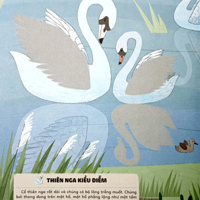 Sticker Bước Vào Thế Giới Thiên Nhiên Kỳ Thú - Tập 2 - Muôn Vàn Các Loài Chim