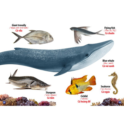 Sách - Từ Điển Bằng Hình Động Vật Dưới Nước (Song Ngữ Đầu Tiên Của Bé)-mk
