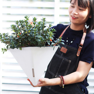 Chậu treo tường tự tưới hình tam giác MONROVIA, thiết kế thông minh, treo ban công, trong nhà, tiêu chuẩn châu Âu