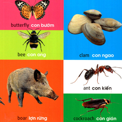 	101 First Words – Animals (101 Từ Đầu Tiên – Động Vật) _ML